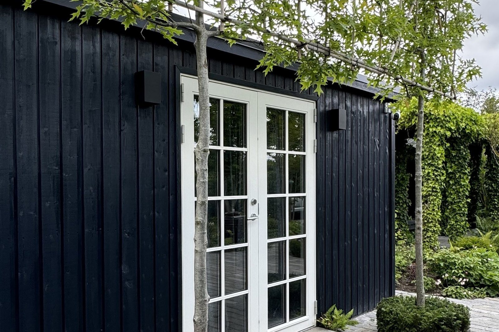 Svævende hæk med fri stamme langs en sortmalet bygning